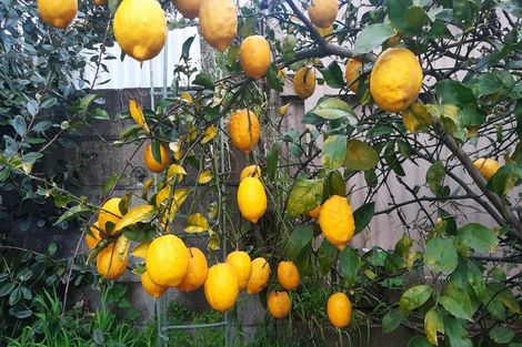 Photo of property in 38 Esk Street, Parkvale, Tauranga, 3112