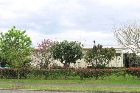 Photo of property in 19 Taipari Street, Maungatapu, Tauranga, 3112