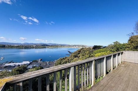 Photo of property in 55a Overtoun Terrace, Hataitai, Wellington, 6021
