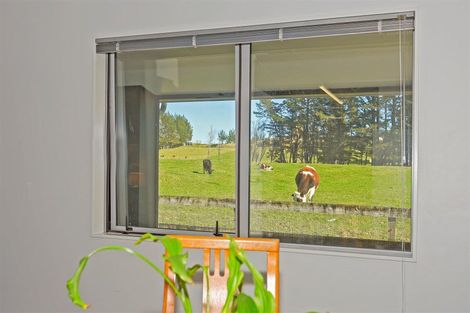 Photo of property in 405c Rowe Road, Ohauiti, Tauranga, 3173