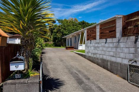 Photo of property in 17 Mace Street, Waitara, 4320