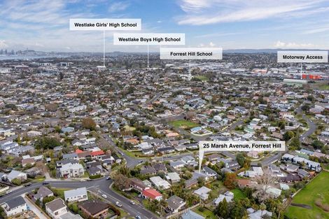 Photo of property in 25 Marsh Avenue, Forrest Hill, Auckland, 0620