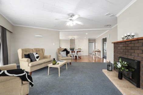 Photo of property in 19 Cureton Street, Morrinsville, 3300
