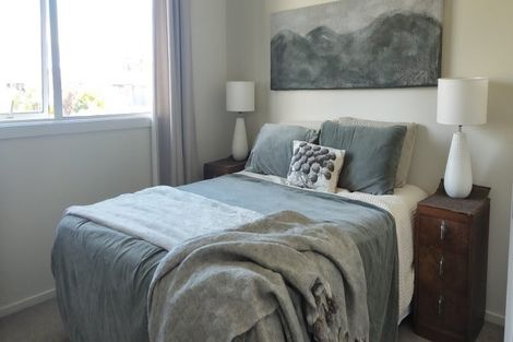 Photo of property in 14 Campari Drive, Richmond, 7020