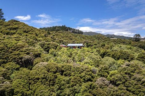 Photo of property in 206 Colville Road, Coromandel, 3584