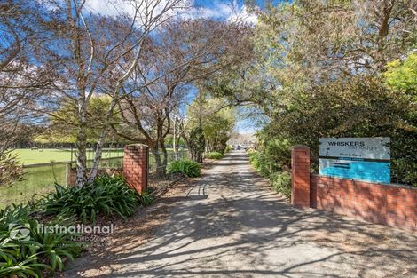 Photo of property in 210 Alabama Road, Redwoodtown, Blenheim, 7274