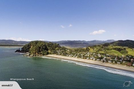 Photo of property in 46 Te Punga Road, Whangapoua, Coromandel, 3582