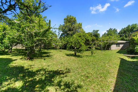 Photo of property in 23 Woodleigh Road, Naike, Huntly, 3772