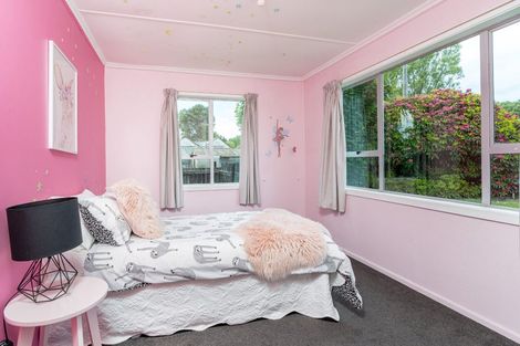 Photo of property in 8 Mill Street, Milton, 9220