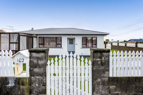 Photo of property in 102 Brecon Road, Stratford, 4332