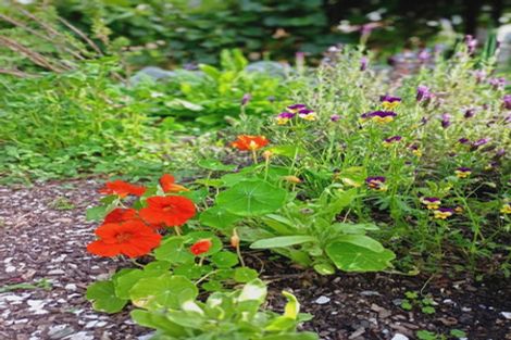 Photo of property in 102 Waitetuna Valley Road, Waitetuna, Raglan, 3295