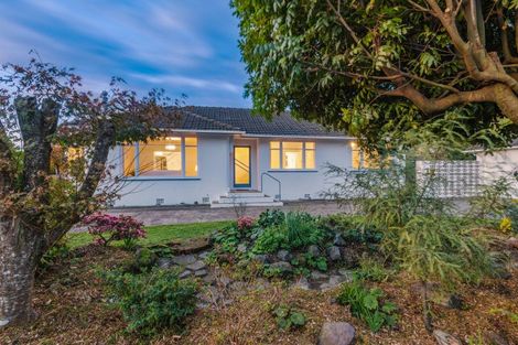 Photo of property in 93 Stortford Street, Ashhurst, 4810