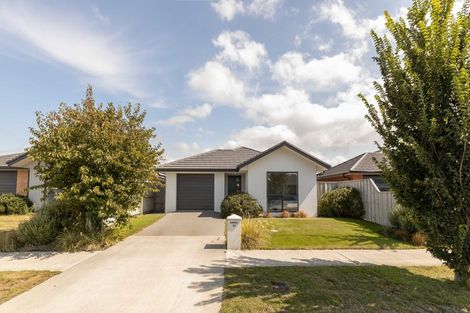 Photo of property in 31 Pakohe Street, Pegasus, 7612