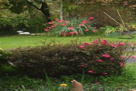 Photo of property in 24 Mary Street, Te Kuiti, 3910