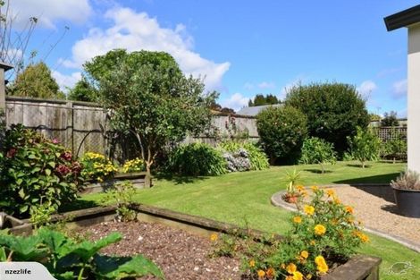 Photo of property in 101 Endeavour Avenue, Flagstaff, Hamilton, 3210