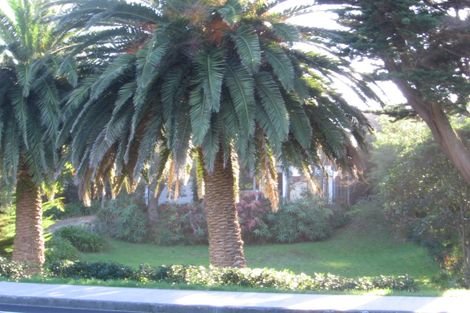 Photo of property in 29 Field Way, Waikanae Beach, Waikanae, 5036