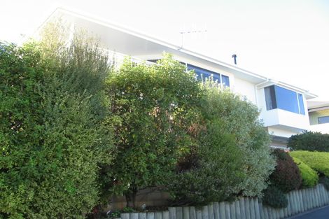Photo of property in 19 Roslyn Road, Bluff Hill, Napier, 4110