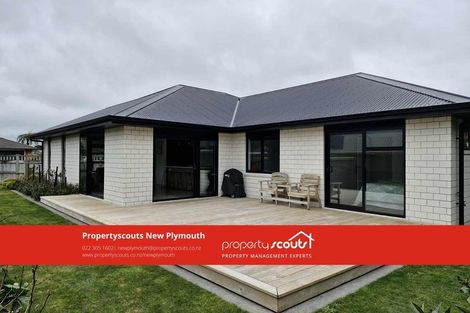 Photo of property in 32 Nikau Street, Inglewood, 4330