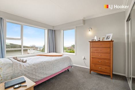 Photo of property in 17b Bruce Street, Roslyn, Dunedin, 9011