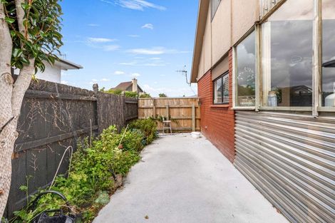Photo of property in 19 Dahlia Street, Palmerston North, 4410