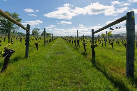 Photo of property in 35 Brighton Street, Island Bay, Wellington, 6023