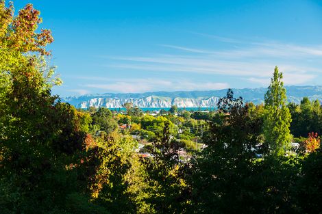 Photo of property in 250 Valley Road, Mangapapa, Gisborne, 4010