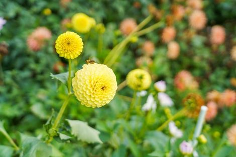 Photo of property in 288 Oropi Gorge Road, Oropi, Tauranga, 3173