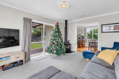 Photo of property in 41a Avenue Road, Foxton, 4814