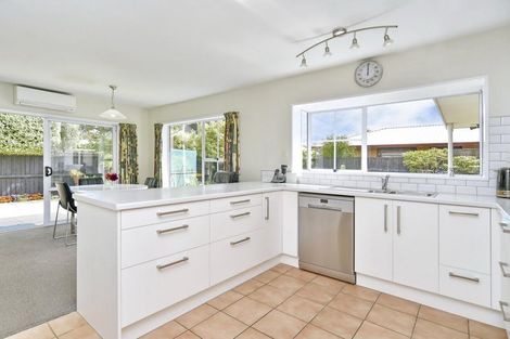 Photo of property in 47a Lagan Street, Belfast, Christchurch, 8051