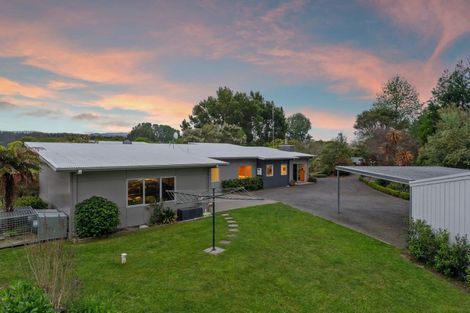 Photo of property in 133 Hogg Road, Rotoma, Whakatane, 3192