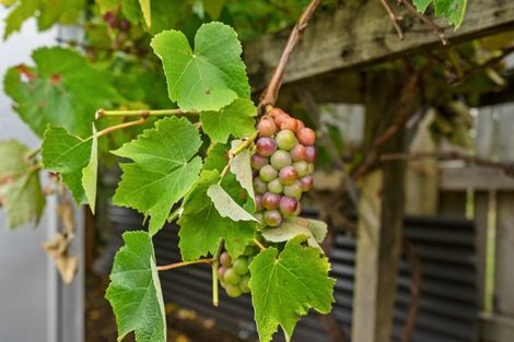Photo of property in 1 Beverley Crescent, Maungatapere, Whangarei, 0179