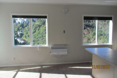 Photo of property in 39 Raroa Road, Kelburn, Wellington, 6012
