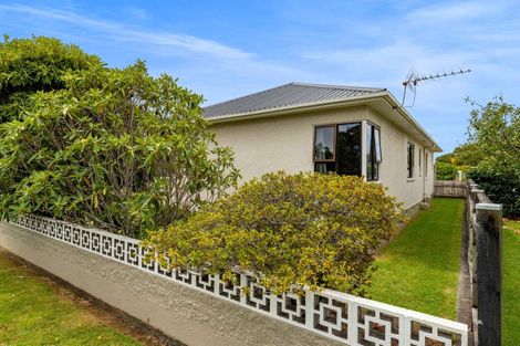 Photo of property in 39 Lismore Street, Strandon, New Plymouth, 4312