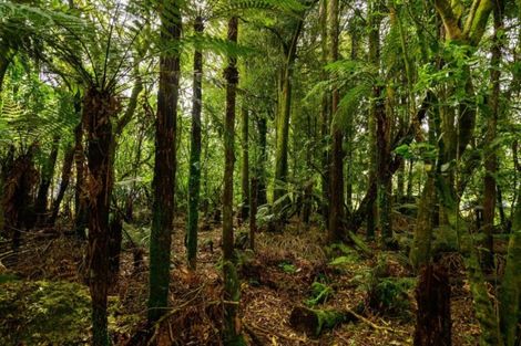 Photo of property in 70 Tawhero Street, Mamaku, 3020