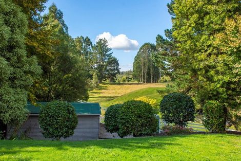 Photo of property in 607 Mountain Road, Oropi, Tauranga, 3173