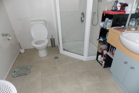 Photo of property in The Lofts, 54/185 Victoria Street, Te Aro, Wellington, 6011