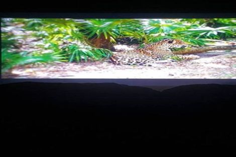 Photo of property in 46 Victoria Road, Saint Kilda, Dunedin, 9012