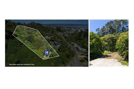 Photo of property in 406 Karaka Road, Thames, 3500