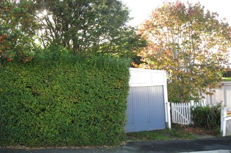 Photo of property in 17 Ventnor Street, Mornington, Dunedin, 9011