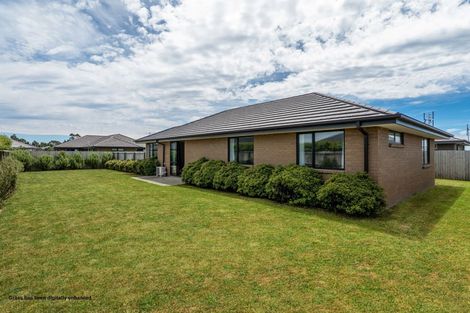 Photo of property in 38 Nicolau Avenue, Rolleston, 7615