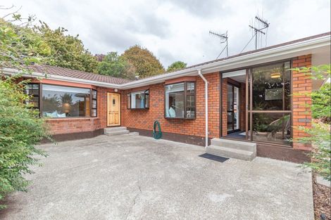 Photo of property in 161a Bath Street, Levin, 5510