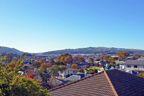 Photo of property in 61d Playfair Street, Caversham, Dunedin, 9012