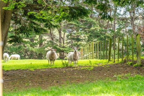 Photo of property in 266 Murphys Road, Judgeford, Porirua, 5381
