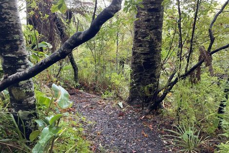 Photo of property in 57 Tanekaha Road, Titirangi, Auckland, 0604