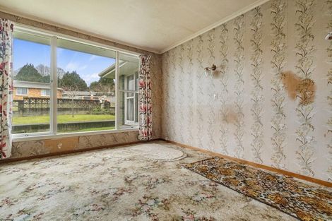 Photo of property in 98 Reservoir Street, Putaruru, 3411