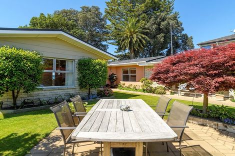 Photo of property in 41 Woods Avenue, Matua, Tauranga, 3110