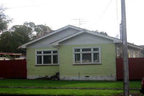 Photo of property in 113 Revans Street, Featherston, 5710