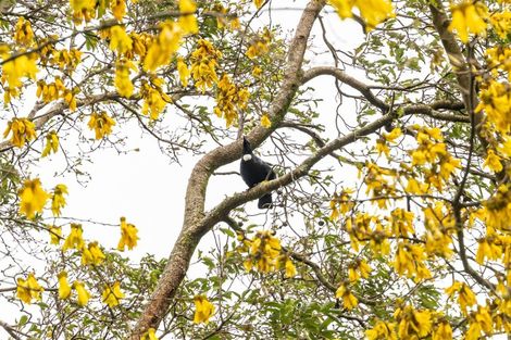 Photo of property in 7 Waite Street, Featherston, 5710
