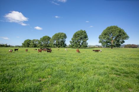 Photo of property in 372 Victoria Road, Pukemoremore, Cambridge, 3493