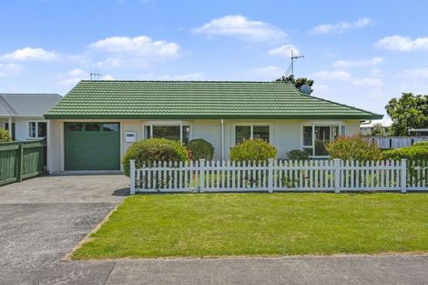 Photo of property in 4 Clark Street, Levin, 5510